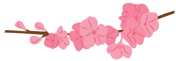 Cherry Blossom Flower