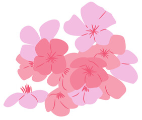 Cherry Blossom Flower