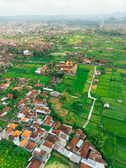 Aerial drone view of green paddy fields scenery at Gelgel Village in Klungkung, Bali, Indonesia.