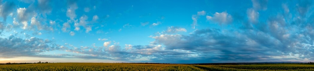 Obraz premium Panorama of the sunset, the sky above the horizon of the spring flowering of rape, canola, oil field meadows. Blooming yellow canola flowers under a dramatic dawn sky
