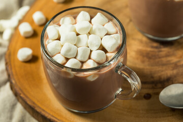 Homemade Warm Hot Chocolate with Marshmallows