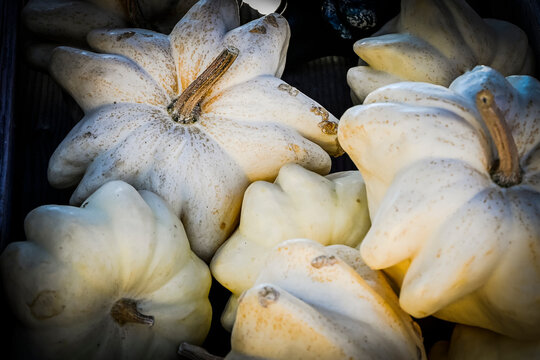 Zierk&uuml;rbis, Yugoslavian Fingers, K&uuml;rbis, Herbstmarkt, Erntezeit, Dekoration, dekorativ, Herbst, Schweiz