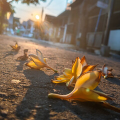 yellow flower on the street