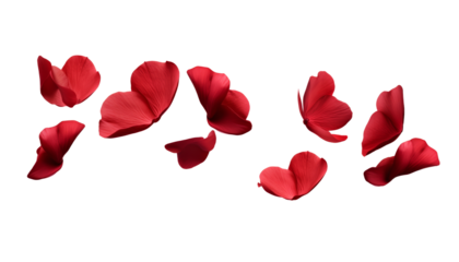 flying red flowers isolated on transparent background cutout