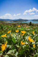 Hiking Ptarmigan Peak, Summit County, Colorado