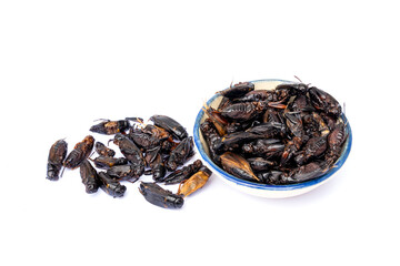 Food for pet. Dried Cricket Treats in ceramic cup suitable as a snack for sugar glider, squirrel, chipmunk, fish and reptiles etc isolated on white background.