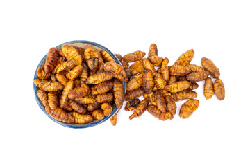 Food for pet. Dried Silkworm Pupae in ceramic cup suitable as a snack for sugar glider, squirrel, chipmunk, fish and reptiles etc isolated on white background.