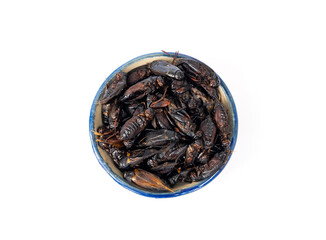 Food for pet. Dried Cricket Treats in ceramic cup suitable as a snack for sugar glider, squirrel, chipmunk, fish and reptiles etc isolated on white background.