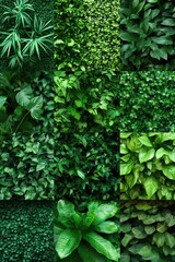 A collection of various plants growing on a wall, great for use in interior design or nature-themed projects