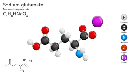 Sodium hydrogen glutamate is a sodium salt of glutamic acid. Its used as a flavor enhancer in food products. Molecular formula: C5H8NNaO4. Chemical model: Ball and Stick. White back. 3d illustration