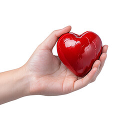 Fototapeta premium Hand holding a shiny red heart symbolizing love and affection, white isolate background