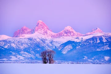 Fototapeten Teton Mountain Range Idaho Side Sunset Alpen Glow in Winter Blue Sky and Forest © Lane Erickson