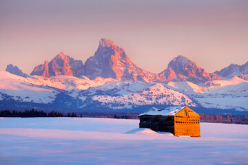 Tetons Mountains Sunset in Winter with Old Cabin Homestead Building
