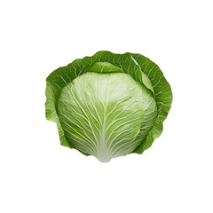 Fototapeta premium Cabbage leaf on transparent background, single object, ,