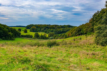 Obraz premium Dutch rural landscape with rolling hills with wild grass and leafy trees against blue sky covered with clouds, horizon over land in background, autumn day in South Limburg, Netherlands