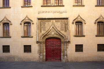 Urban panorama featuring Parmeggiani Palace’s entrance with a finely decorated ancient door, highlighting historic architecture. 
