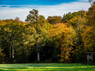 Hochsitz am Waldrand im Herbst