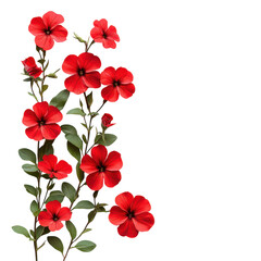 Vibrant red flowers cascading against a white backdrop
