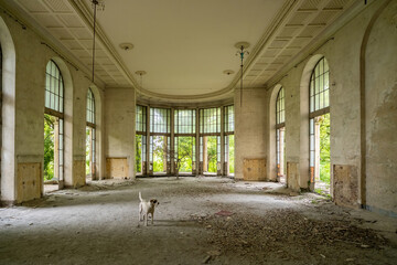 Abandoned hall with large floor-to-ceiling windows