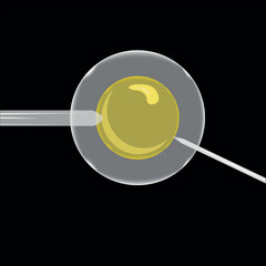 Artificial insemination. Female fertility.
