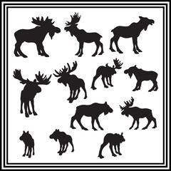 A big collection of moose silhouette isolated on white background