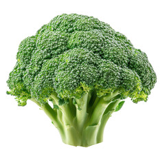 Fresh green broccoli resting on a white surface in daylight