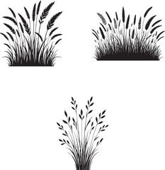 Nature Grass Silhouette Vector Collection