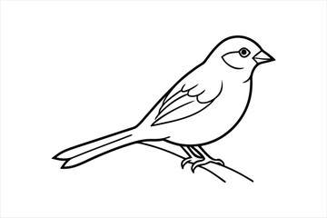  Line art Sparrow bird sitting on a tree branch Vector artwork illustration.