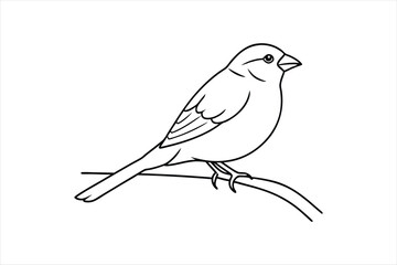 Line art Sparrow bird sitting on a tree branch Vector artwork illustration.