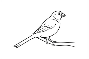  Line art Sparrow bird sitting on a tree branch Vector artwork illustration.