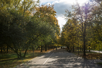 Walk in the park on a bright sunny autumn day
