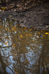Walk in the park on a bright sunny autumn day