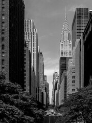 New York city