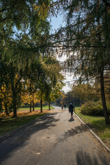 Obraz premium Walk in the park on a bright sunny autumn day