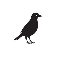 Fototapeta premium bird silhouettes clip art