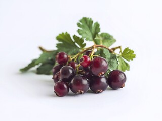 Fototapeta premium A bunch of black currants isolated on white background