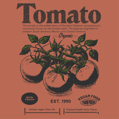 Tomato vegetable artwork for t shirt print. Organic vegetable farm.  Red tomato vintage t-shirt design. Fresh vegan food. vintage food print graphic. tropical summer fruit Graphics.