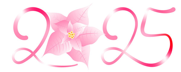 rosa weihnachtsstern 2025, adventsstern