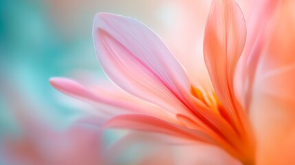 Fototapeta premium Vibrant purple flower in bloom, a closeup with dreamy blurred background closeup