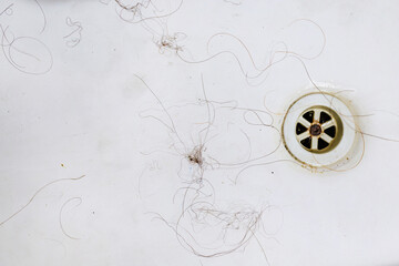 clumps of hair at the bottom of a white bathtub near the drain. aging and hair loss issues