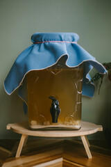 Homemade wine ferments in a beverage jar