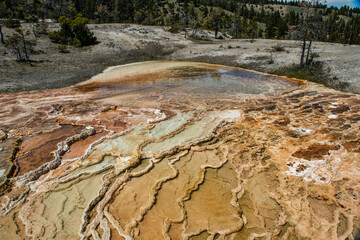 Geyser in Yellowstone