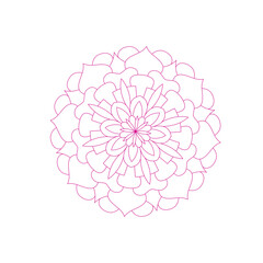 The Beauty of Colourful Mandalas A Fusion of Culture and Creativity