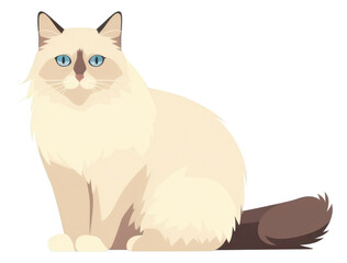 PNG Animal mammal pet cat.