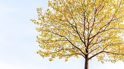 Gradient Confetti Tree: Tiny confetti-like paper pieces in varying colors assemble into a tree shape. The confetti effect adds a festive touch, and the composition is well-suited for promotional 