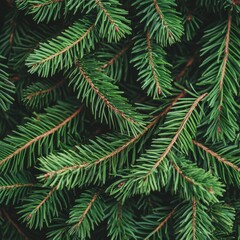 Close-up of vibrant green pine needles on a natural background.
