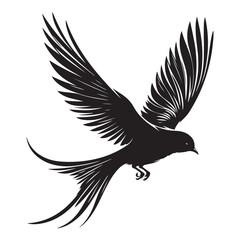 Bird in flight silhouette vector  black colour white background