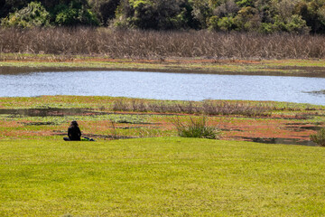 Mujer observando el lago
