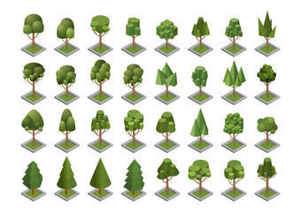 Isometry. A set of trees. Vector illustration.