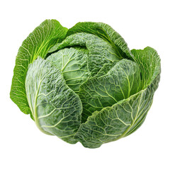 Fresh green cabbage resting on a bright background